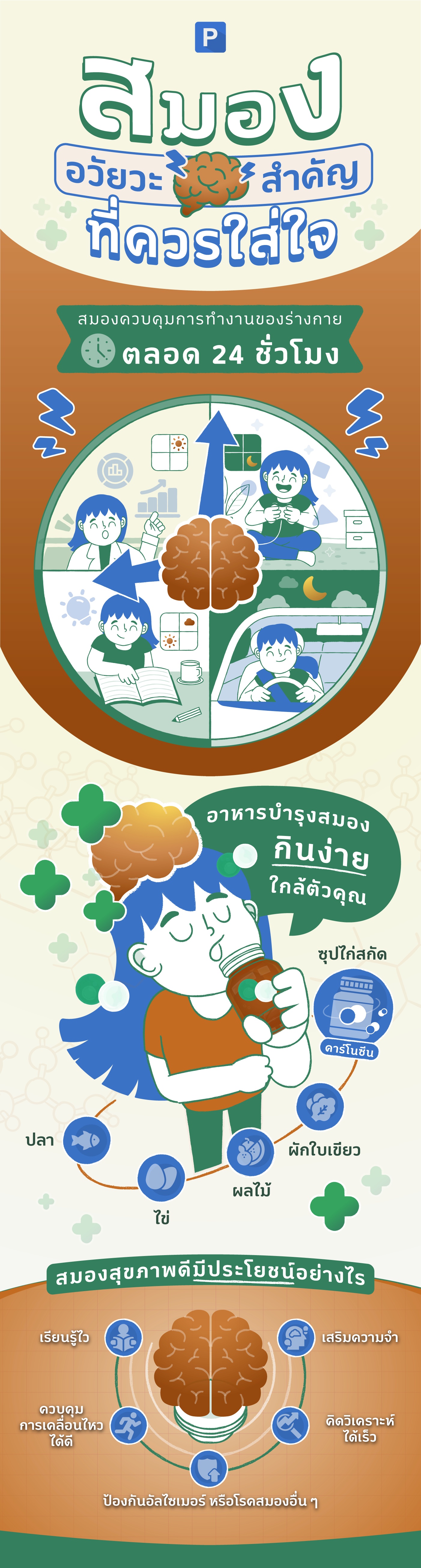 BrainInFo