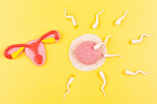 Ciri-Ciri Sperma Masuk Rahim dan Tips Meningkatkan Peluang Hamil - Alodokter