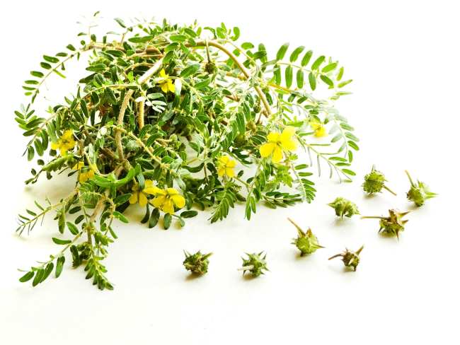 10 Effective Diarrhea Medicines