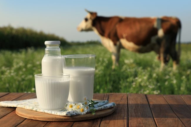 Want a Healthy Body? Come on, consume nutritious food every day