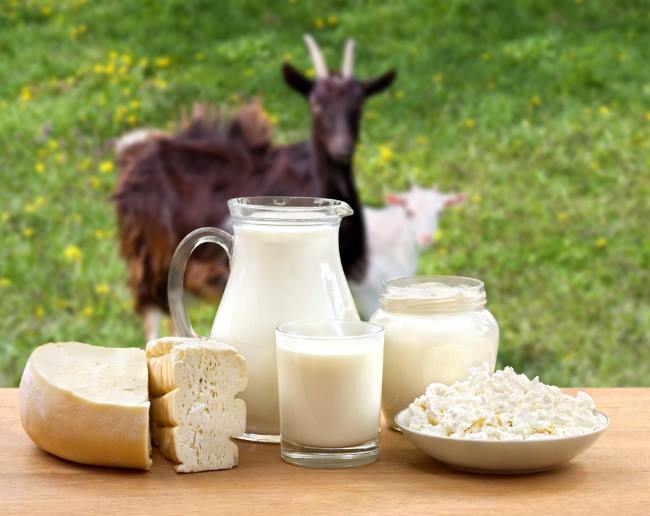 6 Susu Kambing Berkualitas Tinggi untuk Kesehatan Tubuh - Alodokter
