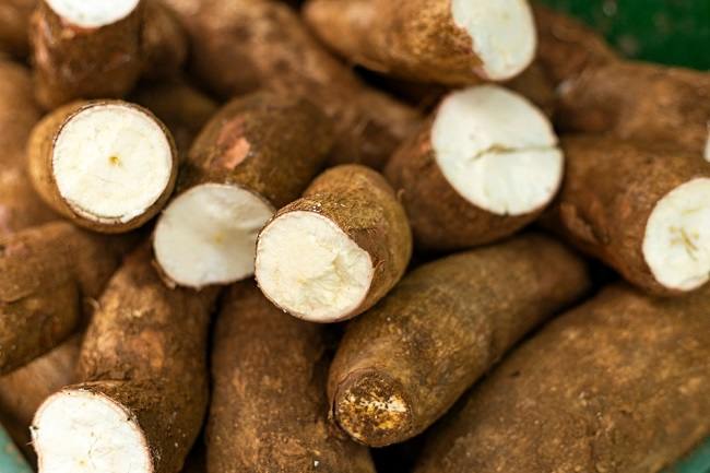 4 Manfaat Singkong bagi Kesehatan dan Cara Tepat Mengolahnya - Alodokter