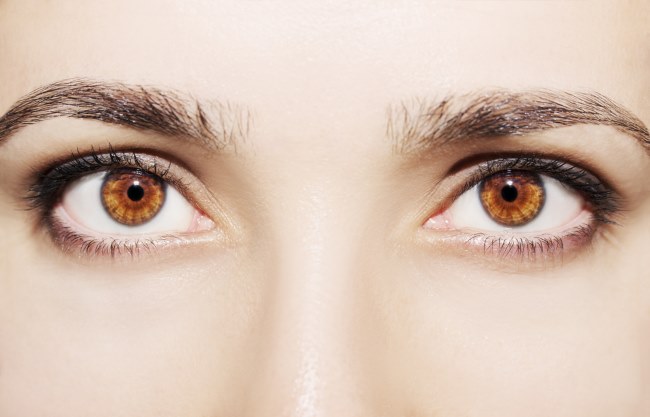 Pupil Isokor, Ketahui Jenis-Jenisnya - Alodokter