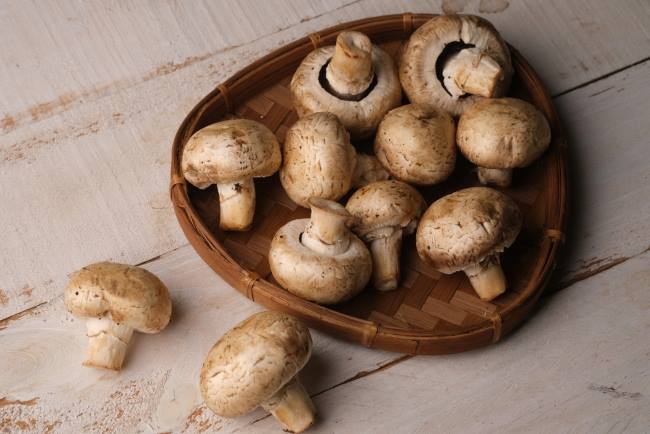 Jamur Kancing: Si Mungil Kaya Nutrisi dan Serbaguna di Dapur