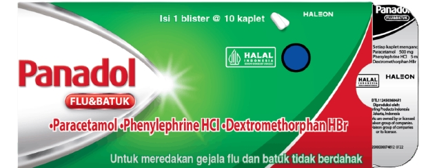 8 Obat Pilek Dewasa Paling Manjur - Alodokter