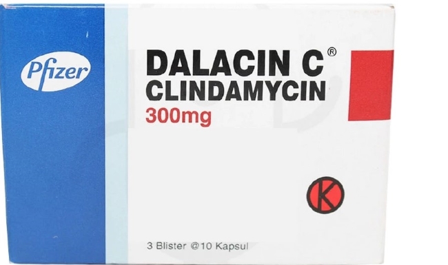 5 Obat Malaria yang Efektif di Apotik - Alodokter