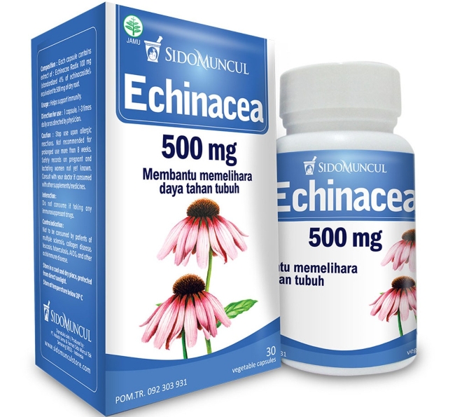 7 Obat Pilek Alami yang Ampuh dan Aman - Alodokter