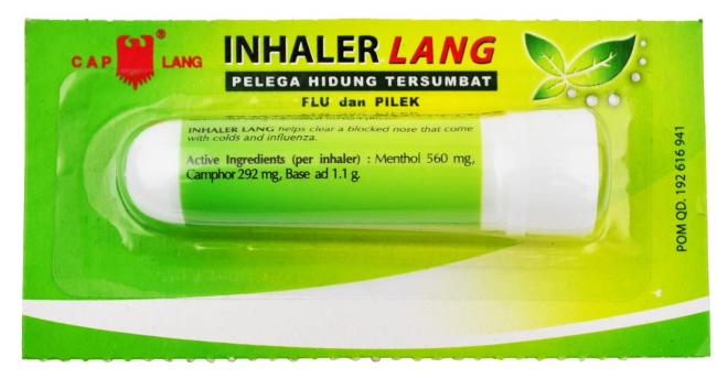 10 Obat Flu Alami yang Manjur Redakan Influenza - Alodokter