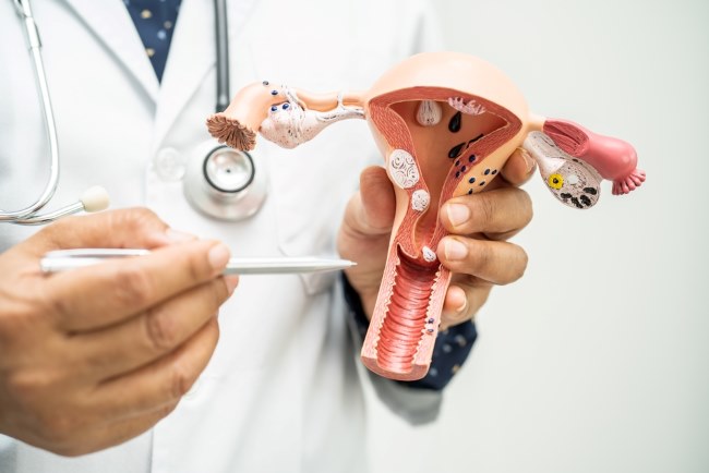 Fungsi Serviks dan Cara Menjaga Kesehatannya - Alodokter