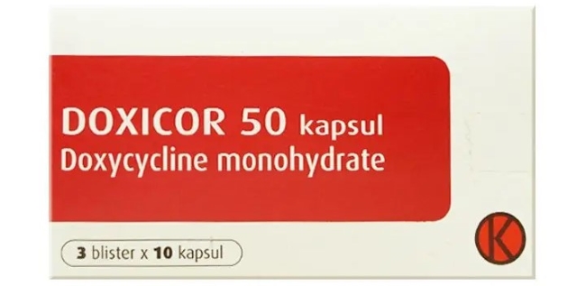 7 Obat Raja Singa yang Paling Mujarab - Alodokter