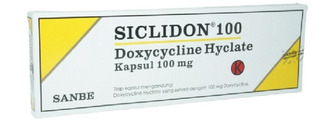 7 Obat Raja Singa yang Paling Mujarab - Alodokter
