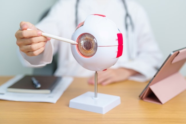 Aqueous Humor, Kenali Fungsi dan Gangguan yang Bisa Terjadi - Alodokter