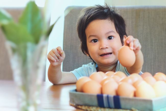 Berbagai Olahan Telur untuk Anak TK yang Enak dan Bernutrisi - Alodokter