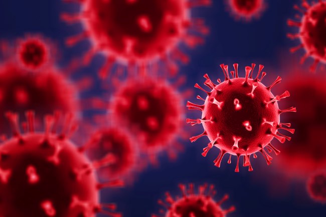 Virus, Musuh Kecil yang Menyebabkan Beragam Penyakit - Alodokter