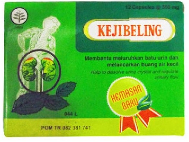 5 Obat Batu Ginjal yang Ampuh - Alodokter