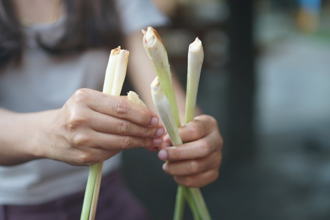 6 Manfaat Sereh bagi Wanita yang Jarang Diketahui - Alodokter