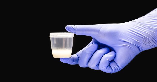 9 Ways to Facilitate Defecation Naturally