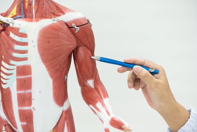 6 Cara Menjaga Kesehatan Sistem Gerak yang Mudah Dilakukan - Alodokter