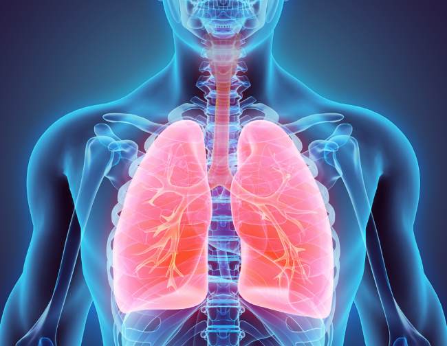5 Cara Menjaga Kesehatan Paru-Paru dan Hal yang Harus Dihindari - Alodokter