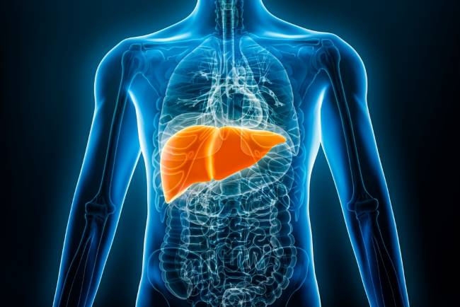 6 Cara Mengobati Penyakit Liver yang Sudah Parah - Alodokter