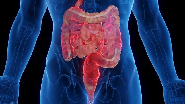 Usus Kotor, Kenali Tanda dan Cara Mengatasinya - Alodokter