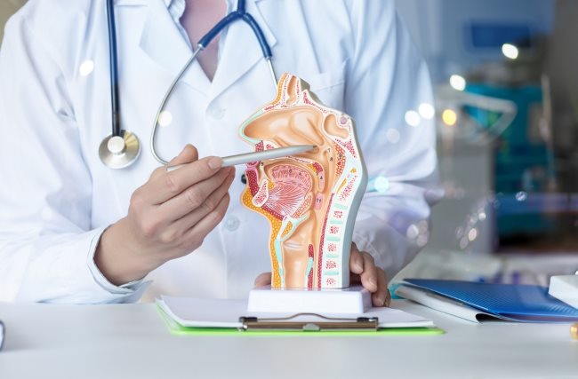 5 Fungsi Selaput Lendir Hidung untuk Kesehatan Saluran Pernapasan - Alodokter