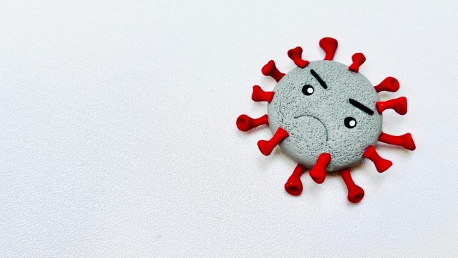 Replikasi Virus, Ini Proses dan Dampaknya pada Tubuh - Alodokter