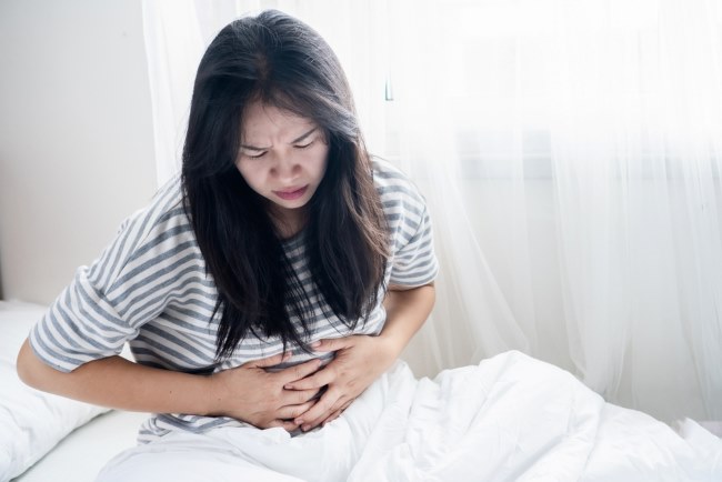 Entamoeba histolytica, Parasit Penyebab Infeksi pada Usus - Alodokter