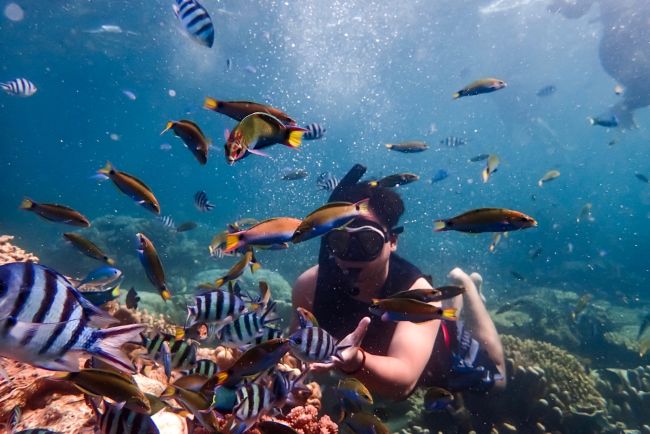 Manfaat Olahraga Snorkeling untuk Tubuh Sehat dan Pikiran Tenang - Alodokter