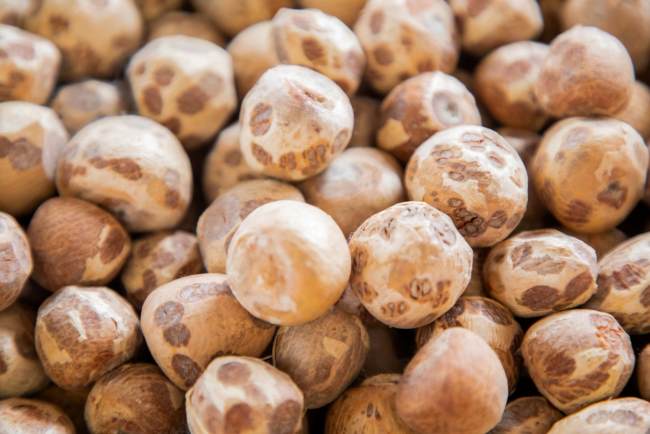 7 Manfaat Buah Pinang Muda untuk Pria yang Perlu Diketahui - Alodokter