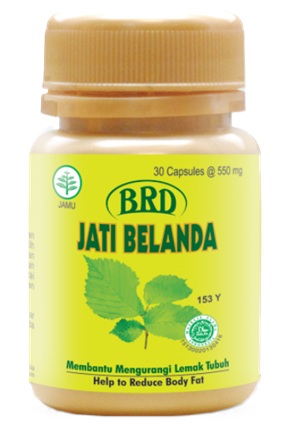 7 Obat Diet Alami yang Aman dan Efektif Turunkan Berat Badan - Alodokter