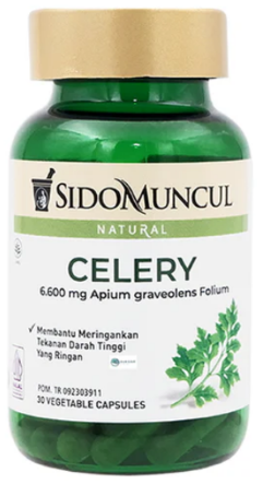 8 Obat Herbal Kolesterol yang Efektif Turunkan Kolesterol Jahat - Alodokter