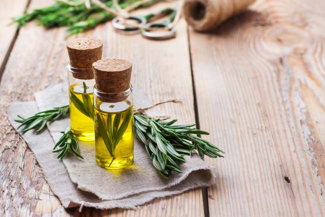 5 Manfaat Rosemary Oil untuk Rambut dan Cara Aman Menggunakannya - Alodokter