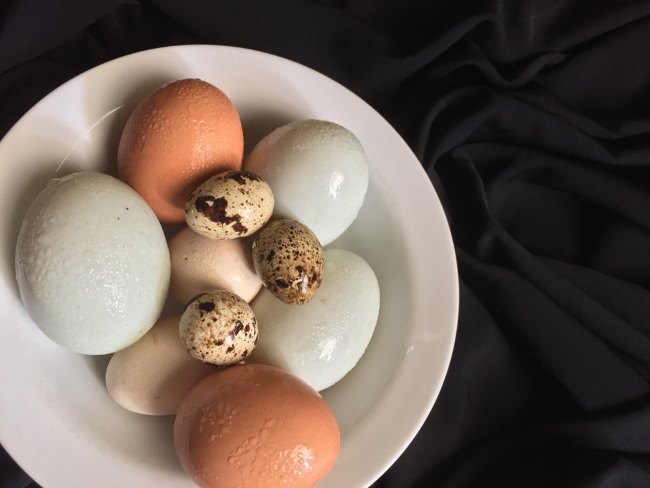 1 Telur Berapa Protein? Ketahui Jawabannya di Sini - Alodokter