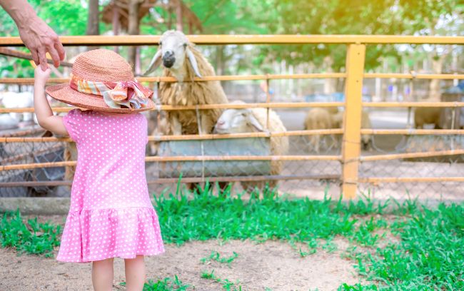Klasifikasi Makhluk Hidup, Mengenal Cara Pengelompokan Organisme - Alodokter