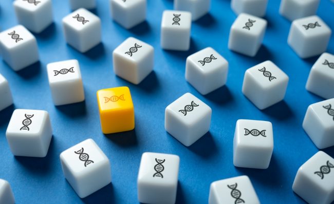 Kelainan Kromosom, Ini Jenis dan Penyebabnya - Alodokter