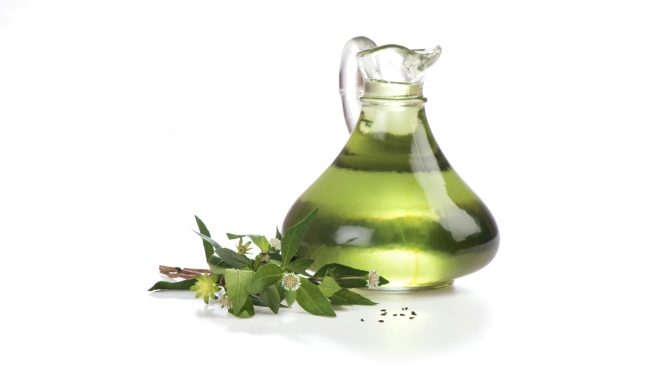 Minyak Urang Aring, Ketahui Manfaat dan Panduan Penggunaannya - Alodokter