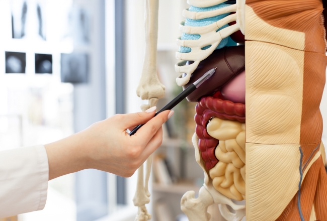 Dokter Spesialis Penyakit Dalam Terbaik di Jakarta Timur - Alodokter