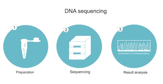 Next Generation Sequencing