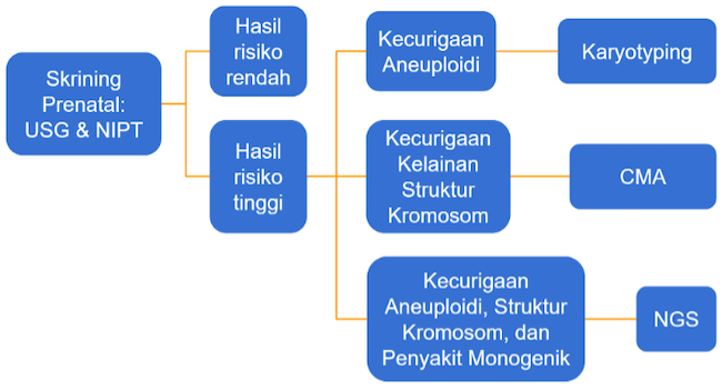 Alur Pemeriksaan Diagnostik Genetik Prenatal