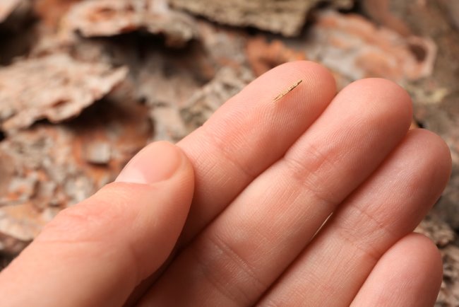 Kesusupan: Pahami Penyebab, Cara Mengatasi, dan Upaya Pencegahannya - Alodokter