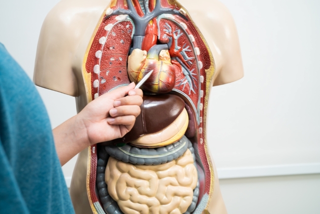 Dokter Spesialis Penyakit Dalam Terbaik di Tangerang - Alodokter