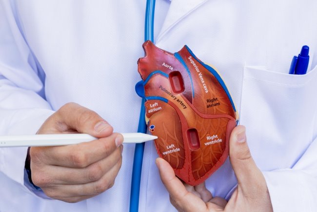 4 Fungsi Ventrikel Kiri dan Tips Menjaganya Tetap Sehat - Alodokter