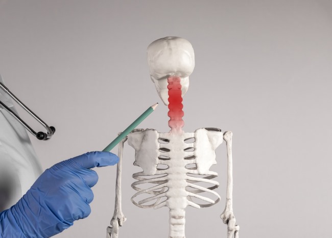 Tulang Leher, Kenali Fungsi dan Gangguan yang Bisa Terjadi - Alodokter