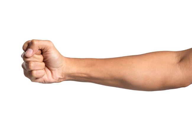 Otot Forearm: Fungsi, Jenis, dan Cara Melatihnya dengan Aman - Alodokter