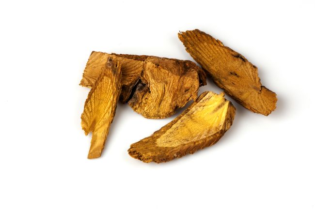 5 Manfaat Akar Kuning dan Cara Aman Mengonsumsinya - Alodokter