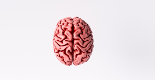 4 Perbedaan Otak Kanan dan Kiri yang Jarang Diketahui - Alodokter