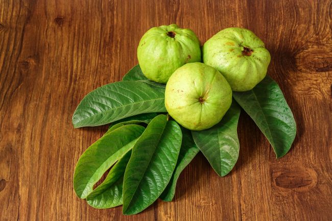 6 Manfaat Daun Jambu Biji untuk Rambut - Alodokter
