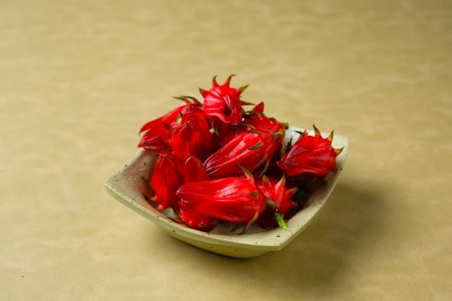 6 Manfaat Bunga Rosella untuk Wanita yang Jarang Diketahui - Alodokter