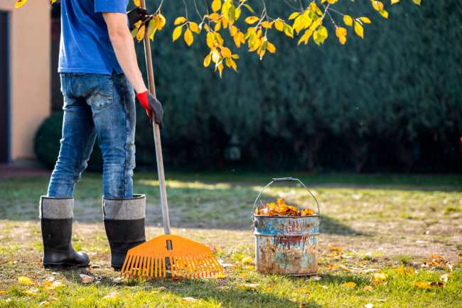 Cara Menjaga Kebersihan Lingkungan untuk Kesehatan Keluarga - Alodokter